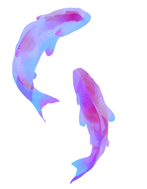 Pez